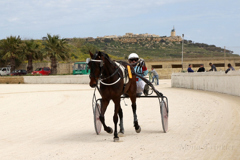 2015_Race 3 - 14.JPG